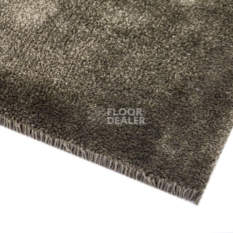 Condor Masquerade Elegance Elegance 40 фото 2 | FLOORDEALER